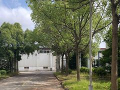 -BUFFALO篮球公园(康桥店)