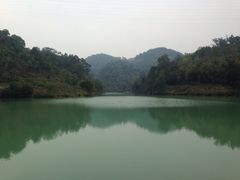 iphone_upload_pic-中山市树木园