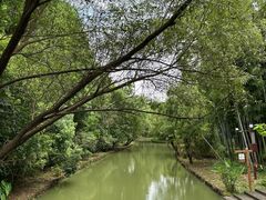 -同里国家湿地公园