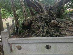 -小洲村