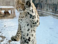 -石家庄市动物园