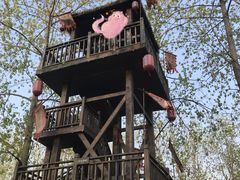 -合肥滨湖国家森林公园