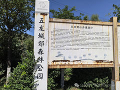 -五龙城郊森林公园