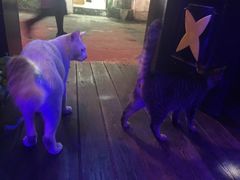 -星宿秘码(鼓浪屿老店)
