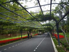 -东平国家森林公园