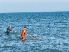 -日照海滨国家森林公园