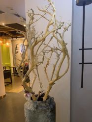 -盘子女人坊古装写真摄影(天津总店)