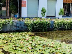 -杭州城北体育公园