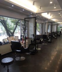 -维卡 Salon
