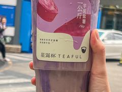 -星满杯TEAFUL(罗湖东门店)