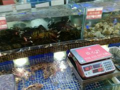 -欢乐海岸美食联盟