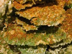 -昌盛德徐州老菜馆