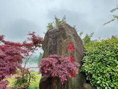 -浙江农林大学(东湖校区)