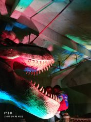 -恐龙探索乐园(磁器口店)