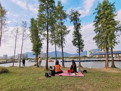 -飞来湖湿地公园