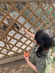 -萌宠亲子动物乐园(槐房万达店)