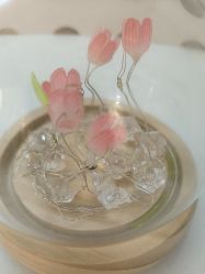 -安琪朵朵独栋花园月子中心