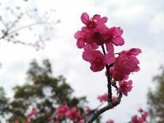 -广州市白云山风景名胜区