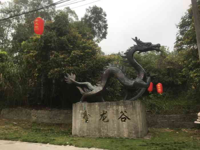 鑫龙谷-"交通:跟着同事车过来,公司冬游活动哈 ."-大众点评移动版