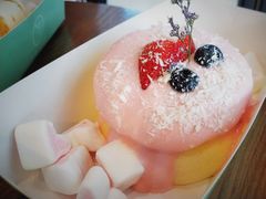 -狐狸和向日葵(北京路店)