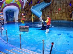 -烟台海昌鲸鲨海洋公园