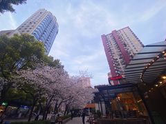 -玛格萝妮比萨屋(四平店)