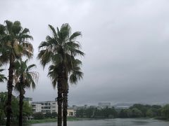 -浙江大学(紫金港校区)