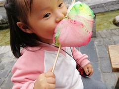 -茯茶镇
