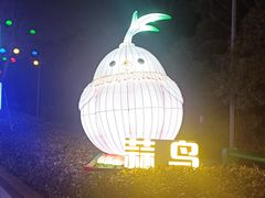 -武汉园博园(武汉自然博物馆)