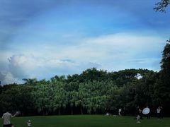 -深圳湾公园(南山区)