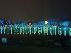 -印象西湖·最忆是杭州实景演出