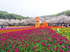 -苏州上方山国家森林公园