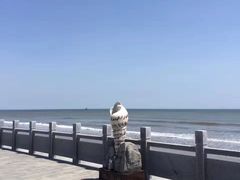 -大鹿岛