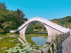 -田野绿世界