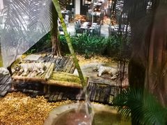 -麒麟中餐厅·经典粤菜·地道菜式老字号(广州长隆酒店)