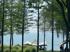 -苏州湾体育公园