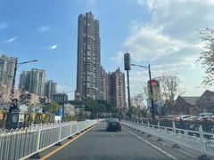 -洲头咀公园