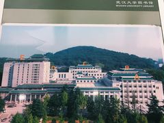 -武汉大学图书馆·文理学部总馆