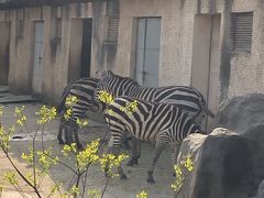 -南昌动物园