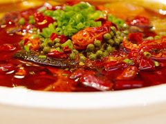 毛血旺-峨嵋酒家(地安门店)