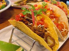 绿巨人Taco系列-AFS Cafe & Canteen(闽江二路店)