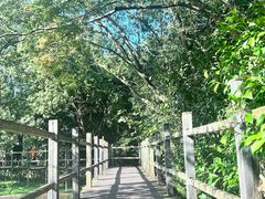 -河姆渡遗址博物馆
