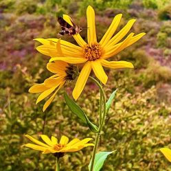 -Oasis Beauty水磨坊科技美肤中心