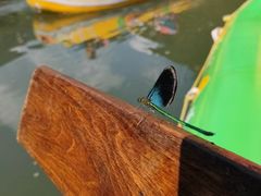 -兴隆红河漂流