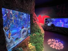 -沈阳海洋探索中心