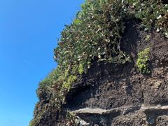 -涠洲岛火山国家地质公园