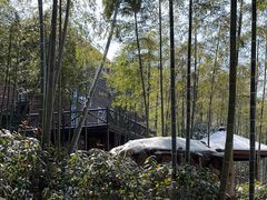 -江南天池高山汤泉城