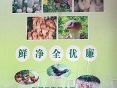-杨记山珍鸡煲菌汤锅