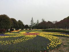 -上海鲜花港