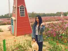 -日照灯塔风景区